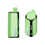 Vapsolo Quads 80000 - Image 12